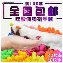 Flower dog claw set simple 20-grain pet nail set dog nail Teddy claw cover anti-scratch scratch and send glue
