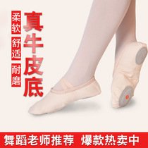 Adult dance shoes womens soft bottom pink cat claw shoes Childrens dancing shoes girls practice shoes little princess ballet shoes
