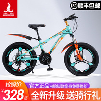 Shanghai Phoenix brand childrens mountain bike boys and girls Middle and high school children single variable speed women youth middle and high school students