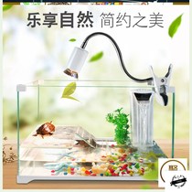 Turtle tank fish tank glass creative with drying table transparent special external medium-sized water turtle oxygen pump plant Office