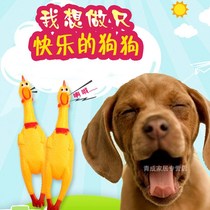 What about the screaming of the chicken?Screaming Chickens Freaks Out to Vent Chicken Whole People Whole Demagogic Dogs Pets Toys Children Toys