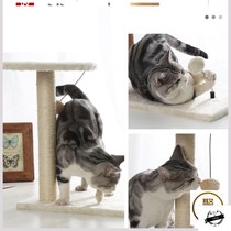 Multifunctional practical cat climbing frame cat jumping platform cat nest cat snatch Post sisal sisal claws play Cat play cat tree small one