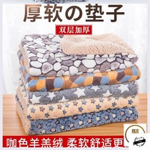 Dog mat Winter style kitty sleeping mat dog Quilt Pets Blankets Autumn Winter Warm Dogs Supplies Kennel Kennel