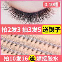 Scarecrow false eyelash grafting Flower hair thick super soft self-pick tool Full set Single root seed supernatural single cluster