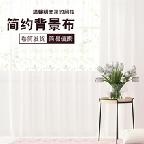  Live broadcast decorative background cloth Net red anchor takes pictures photography poses props simple atmosphere hanging cloth shooting background wall