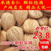 New Chengde Almonds Raw ripe Almonds Sweet Almonds South Almonds Original raw Almonds nuts Bulk almonds 500g