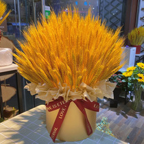 Gold wheat ear dried flower wheat natural dried rice ear opening barley selling dried flower bouquet decorative ornaments shooting props