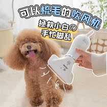 Blow comb one-piece hair dryer Teddy comb hair dog hair pulling artifact Quick-drying Pet water blower Large dog special small