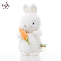 Bay Rabbit bunnies White Rabbit plush toy children Doll Girl birthday gift doll