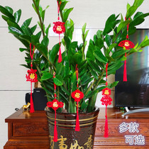 Housewarming new home gift arrangement Fortune tree bonsai blessing word door sticker Lantern Chinese knot pendant Festive decoration