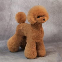 2021 new pet fake dog cute Teddy beautician shearing model practice model dog simulation full body fake hair