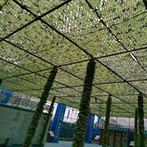 Sun Net anti-aging camouflage sunshade net home courtyard sunscreen insulation outdoor roof balcony breathable mesh cloth