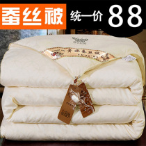 Water Star Home Textiles Official Flagship Store Silk Quilt Winter Quilt Winters Thickened Silk Cotton Quilted By the Core Spring and Autumn Quilt Space