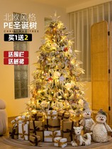 Nordic flocked Christmas tree home small package Christmas decoration simulation naked tree set encrypted white lamp tree