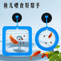 Buoyancy small fish feeder feeding ring aquarium fish food fish feeding ring fish feeding ring