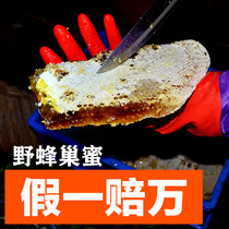 Honeycomb honey natural chewing Box 500g Hundred Flowers peak honey pure soil honey Qinling deep mountains wild a catty