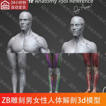 超清数字人体模型-超清数字人体模型促销价格、超清数字人体模型品牌- 淘宝