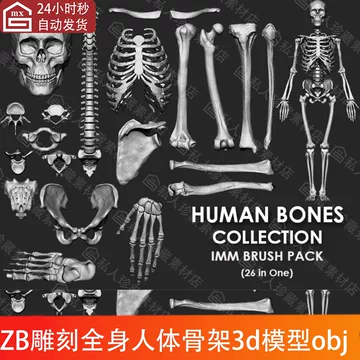 骨头3d模型-骨头3d模型促销价格、骨头3d模型品牌- 淘宝
