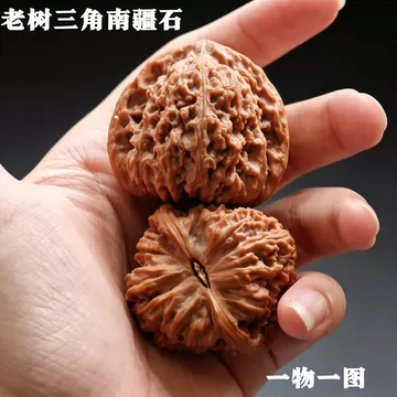 赵喜满南将石老树核桃-赵喜满南将石老树核桃促销价格、赵喜满南将石老