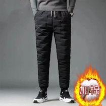 Electric car knee pads cold winter warm motorcycle windshield men's and women's down cotton pants padded cycling zipper leg guards