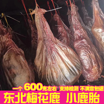 Deer Placenta Small Plum Deer Tire Dry Deer Tire clothing The whole Northeast Jilin Female menstrual gestation Nourishing Powder Raw Material