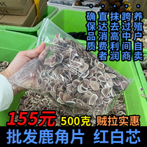 Red and White Heart Antler Tablets 500g Plum Flower Antler Tablets Blood-Containing Dried Medicinal Materials Zong Bubble Wine Ingredients Male Powder