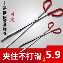 Clip eel artifact lobster sea tool clip long mouth crab pliers stainless steel fish clip clip snake lingered eel small