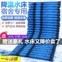 Net red water bed ice mat Summer bed dormitory large double bed Superior cooling artifact Indoor water mattress