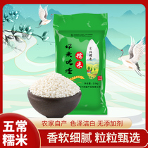 Northeast Wuchang round grain glutinous rice 5kg new rice farmers self-produced grains sticky rice rice dumplings rice farmers