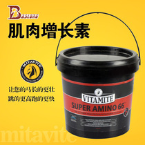 Australian MITAVITE muscle growth agent muscle growth hormone horse nutrition to promote horse muscle growth and fat