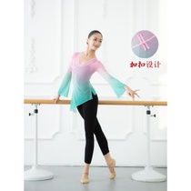 Chinese folk ballet dance classical dance practice uniform female body rhyme dress gradual art test gauze elegant teacher top