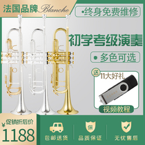 Trumpet instrument Beginner down B tone Adult children Professional playing grade French brand Blanche