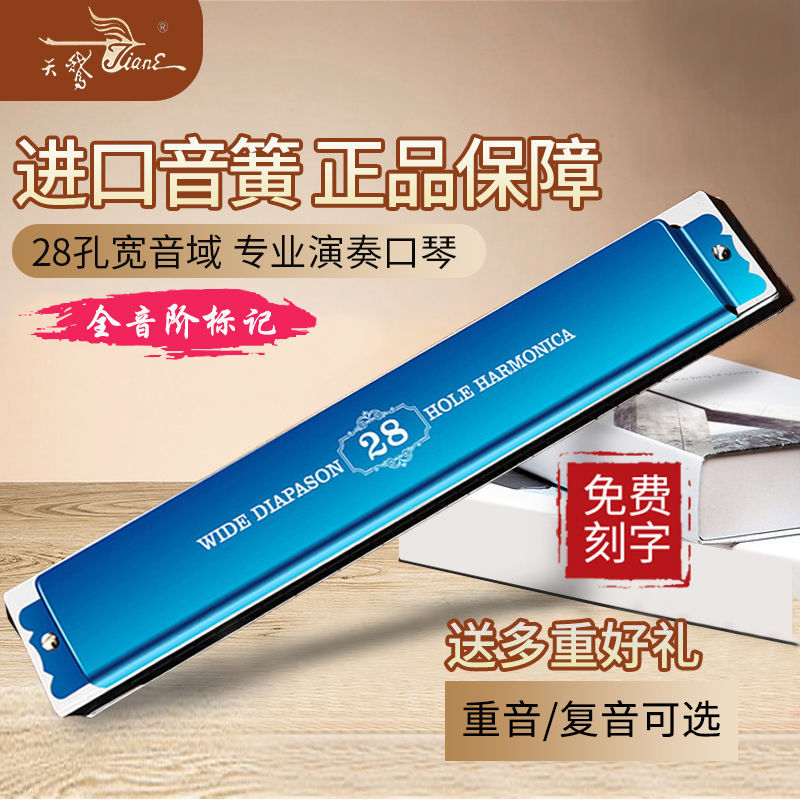 Reed 28-hole polyphonic harmonica Professional playing grade accent Advanced adult Beginner Student entry