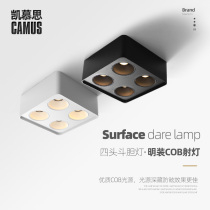 Double head mounted downlight four head square ceiling lamp bucket lamp adjustable angle living room without main light lighting