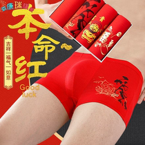 2 3 4 bars for mens underwear flat corner Modale four-corner shorts head comfort large size flat angle pants This life is a big red