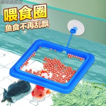  Feeder Feeding ring Anti-drift Tropical guppy feeding ring Aquarium fish tank Fish food Fish food feed feeding tube