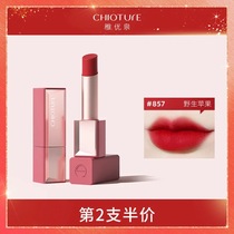 Zhiyouquan square tube matte lipstick 233 net red explosive lipstick female affordable student makeup lip glaze niche brand