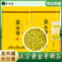 White tea golden Bud tea 2021 new tea Mingchen premium spring tea tea 250g canned bulk Green Tea Tea