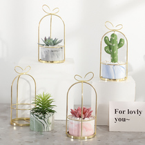 ins Nordic succulent simulation plant cactus potted indoor living room green plant decoration fake flower desktop small ornaments