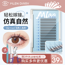 Milan Diary Fake Eyelash Woman Self-Grafted Eyelash Eyelash Natural Emulation Fish Tail Fairy Hair Single Cluster Eyelash Mix