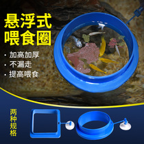 Enjoy a pet fish tank feeding ring thickened buoyancy feeding ring with suction cup water surface feed dispenser fish grain