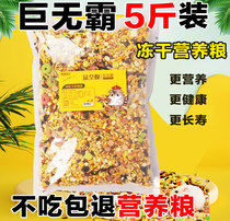 Hamster grain grain grain Golden Bear feed self-served snacks nutritious seafood freeze-dried fruit VAT