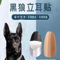 Kokie Liar Divine Instrumental Stand-Ear Patch Free of glue Traditional Chinese Medicine Liotoli