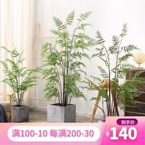 Simulation green plant fern leaf tree decoration living room ornaments Nordic style large fake tree indoor floor-to-ceiling pot picking plant scene