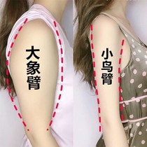 (Beauty arm legs artifact) also you jade arm fragrance shoulder butterfly arm paste goodbye thin bye meat arm thigh