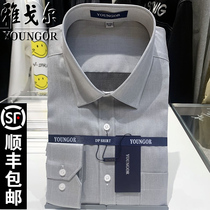 Special cabinet Yagal shirt male long sleeve middle-aged DP free of hot all-cotton grey loose business anti-wrinkle inch clothes