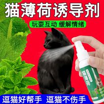 Catnip Spray Inducer Mood Relieving Agent Fen Cat Mood Soothing Agent Cats Artifact Becomes Cat Products