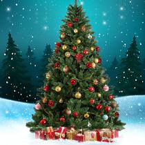 Jingle Jollys Christmas tree shipped locally in Australia
