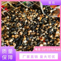 Hebei Bean Rock Natural Pebble Colorful Small Rock Paved Path of Path of Palace of Rock Stone