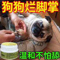 Dog toenails Rotten Foot Girl Special Cream Kitty Fingertips Anti-inflammatory Pet Dog Toes Red Swollen Inflamed special